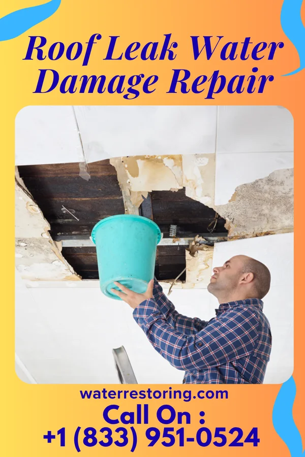 Roof Leak Water Damage Repair in Glenwillow, OH