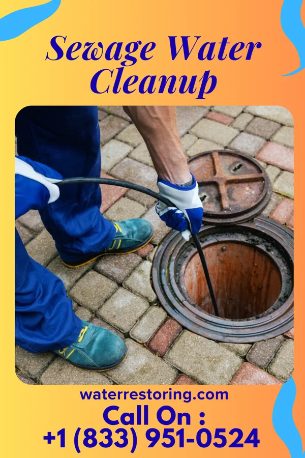 Sewage Water Cleanup in Glenwillow, OH